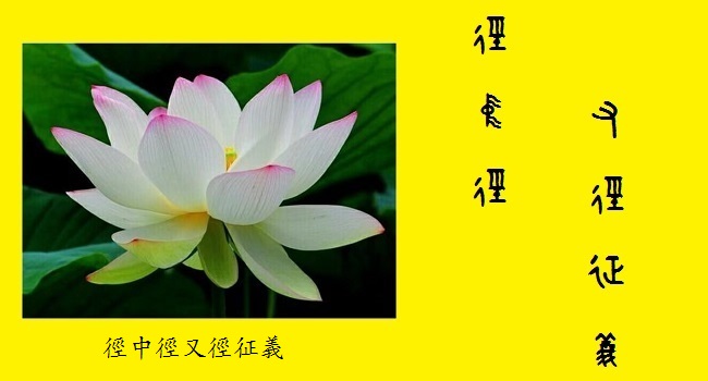 徑中徑又徑征義